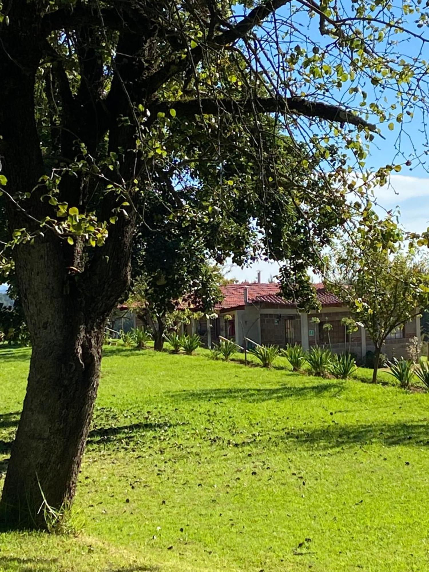 Cabanas Huerta La Mision, Сакатлан Екстер'єр фото